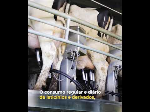 Câncer e Consumo de Carne