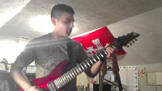 New Guitar Day - My first 7 string!