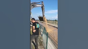 Excavator operator rescues a cow