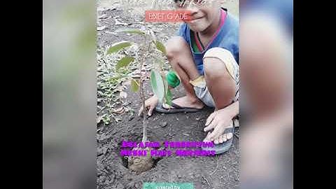 EBIET G ADE - Bila Kita Ikhlas | Video created with lyric | Lagu Tidur