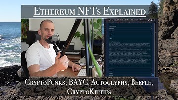 NFTs Explained: CryptoPunks, BAYC, Autoglyphs, Beeple, CryptoKitties