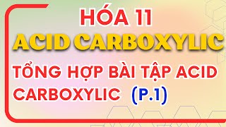 Acid Carboxylic Hoá 11 | Bài Tập Acid Carboxylic Hoá 11 Chân Trời Sáng Tạo