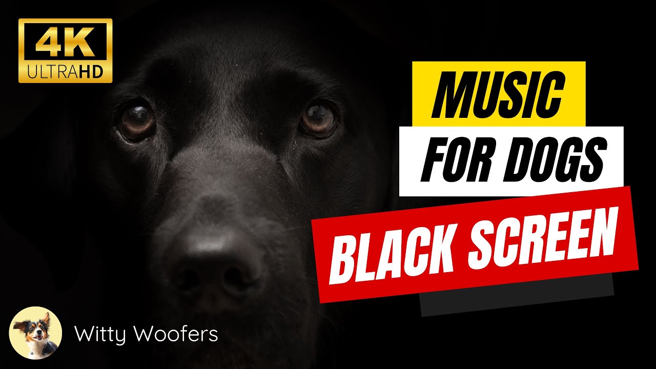 Relaxing Music for Dogs Stress Relief Black Screen for Deep Calm 🐶 Witty Woofers