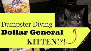 Dumpster Diving Dollar General / KITTEN!?!