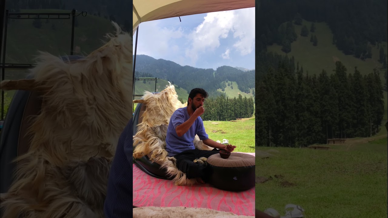 Enjoy your special weekend🏕️ 