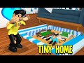 I Built A TINY Home In Baby Hyper's Adopt Me Mansion! (Roblox)