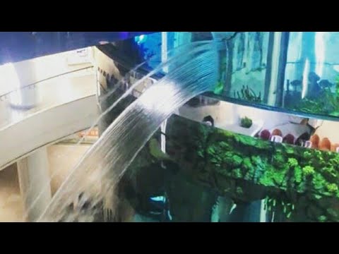 В ТЦ Океания лопнул аквариум