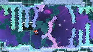 Celebrity Celeste: Farewell's Most Infamous Screen Tutorial Net Worth