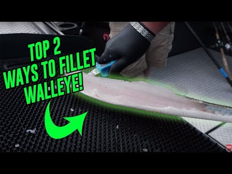 Video: Làm Thế Nào để Bán Thịt Một Con Walleye