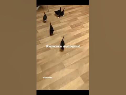 Кукусики выходим!🤗 - YouTube