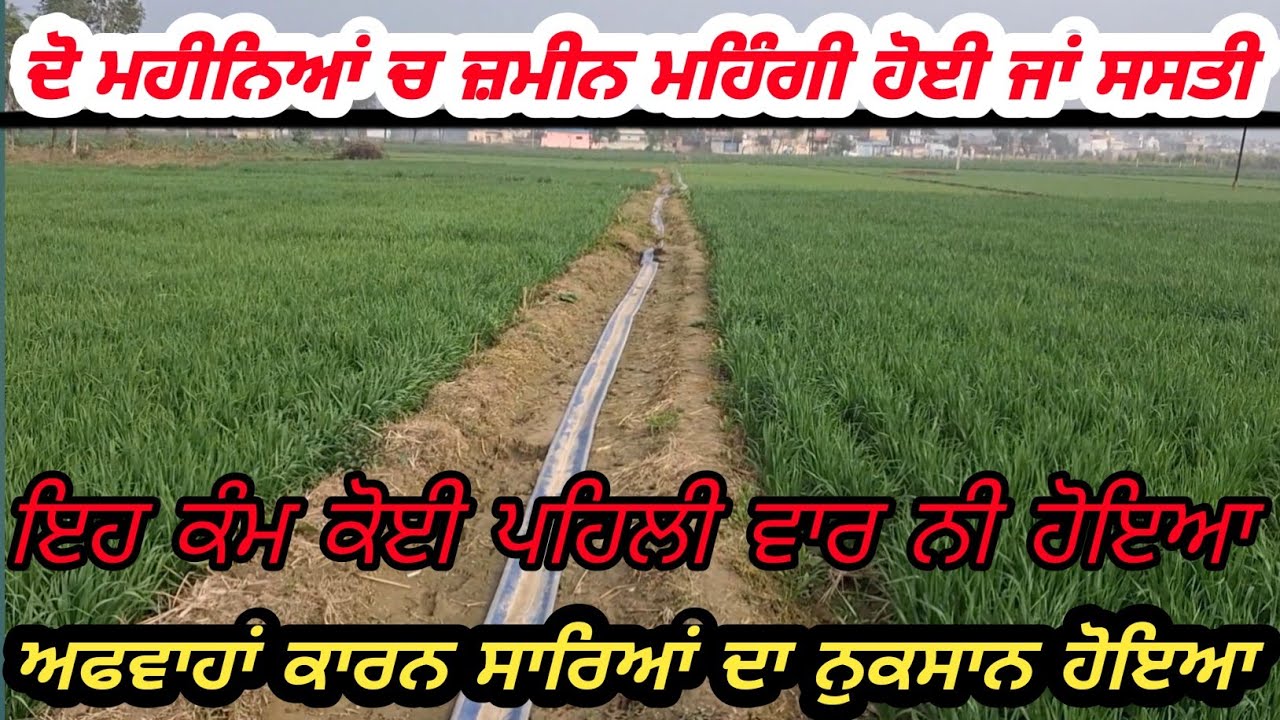 ਦੱਸੋ ਫਿਰ,ਪਿਛਲੇ ਦੋ ਮਹੀਨਿਆਂ ਚ ਜ਼ਮੀਨ ਮਹਿੰਗੀ ਹੋਈ ਜਾਂ ਸਸਤੀ//Agricultural Land Price in Punjab 