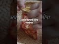US वेनेजुएला संकट  भारत के बाज़ार पर होगा 'ये' असर?