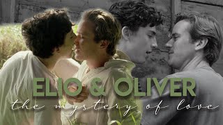elio and oliver; the mystery of love