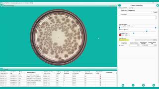 SphereFlash® AI | Demo - Spiral Distribution
