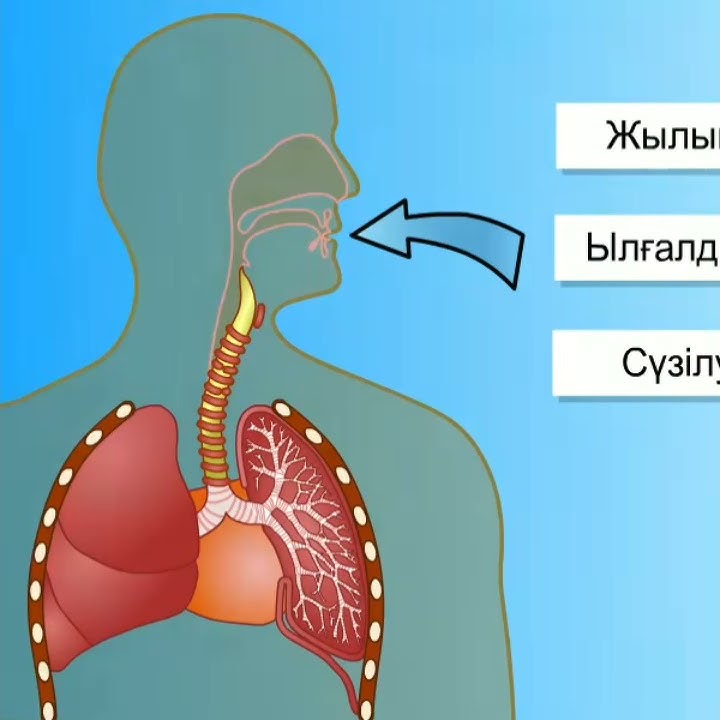 Анна Семеновичпен жыныстық қатынас туралы бейне Орындаушылардың юбка астындағы порнофотосуреттері