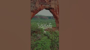 سورة آل عمران. #اكسبلور #اسلام #لايك #الرحمن #تيك_توك #المصحف #راحة_نفسية #تلاوات_خاشعة #قرآن