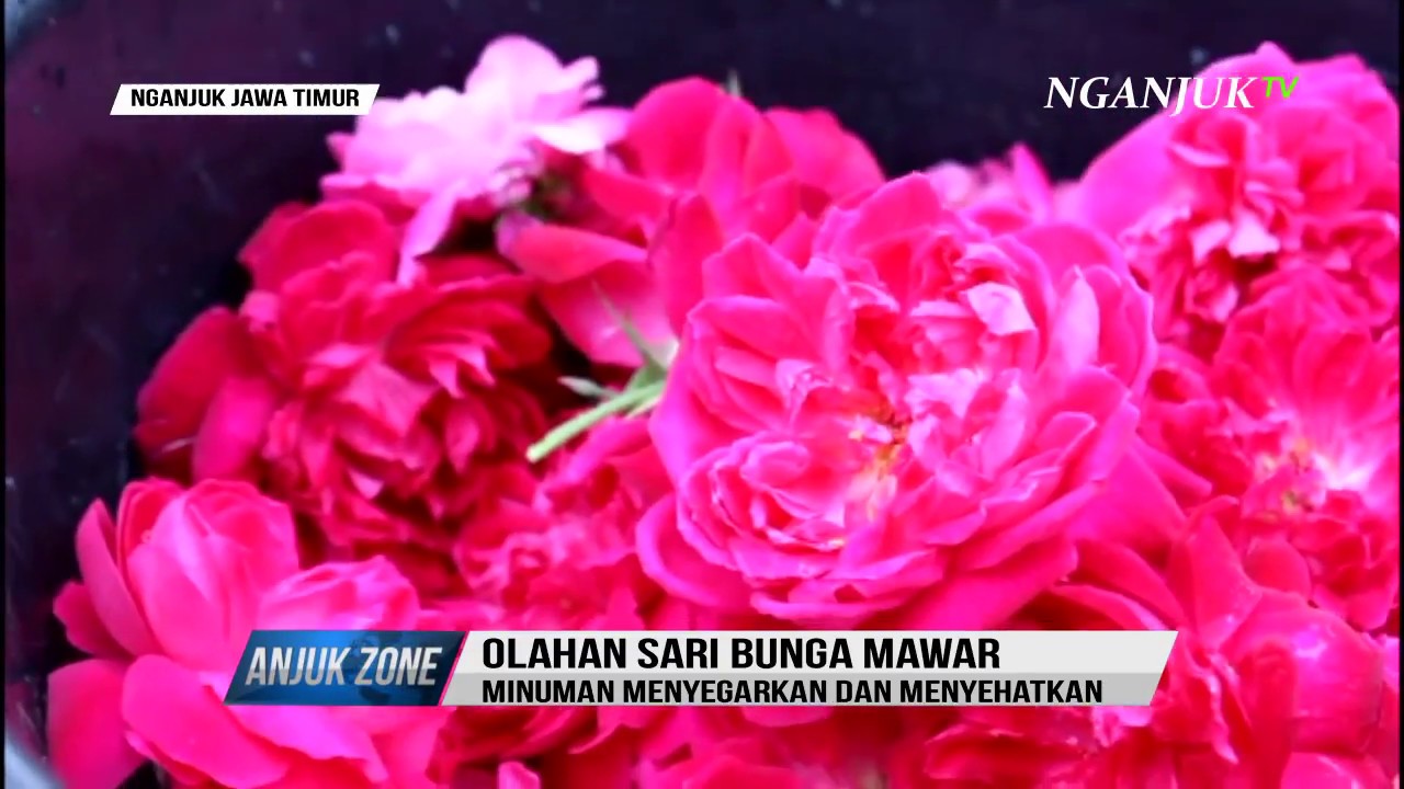 Segarnya Sirup Bunga Mawar Khas Sawahan Anjukzone