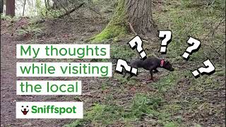 Everyone Should Rent a Sniffspot for their Dog