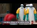 What does Ebola do to the body?