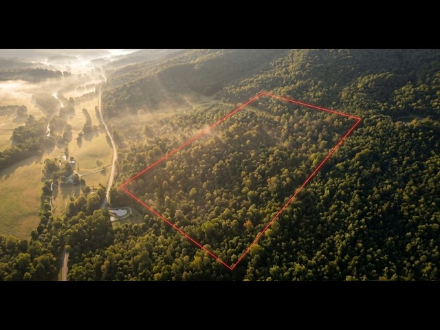 Reynolds Ridge 98