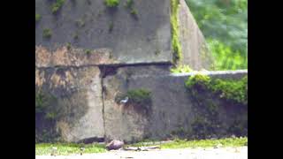 P1020883