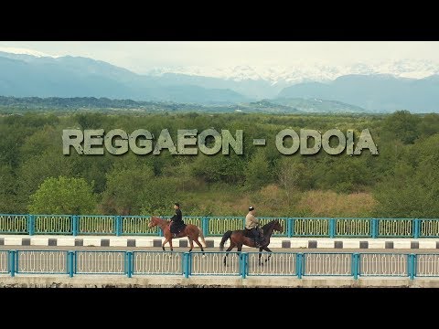 REGGAEON - ოდოია | odoia (Official Video)