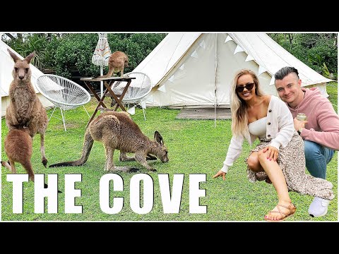 THE COVE JERVIS BAY - A COMPLETE WEEKEND TRAVEL GUIDE! (4k ULTRA HD)