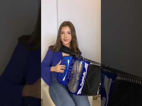 El Chili Willy Legado 7 Cover Acordeon Irany Youtube