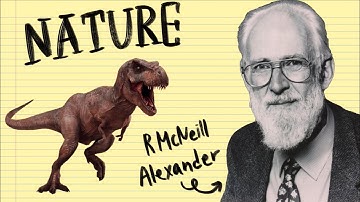 Why do giants move slowly in movies?