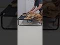 20250717 안마 Massage 맛사지 따야 Ddaya 왕크왕귀 진도믹스 황구 20250717 안마 Massage 맛사지 따야 Ddaya 왕크왕귀 진도믹스 황구