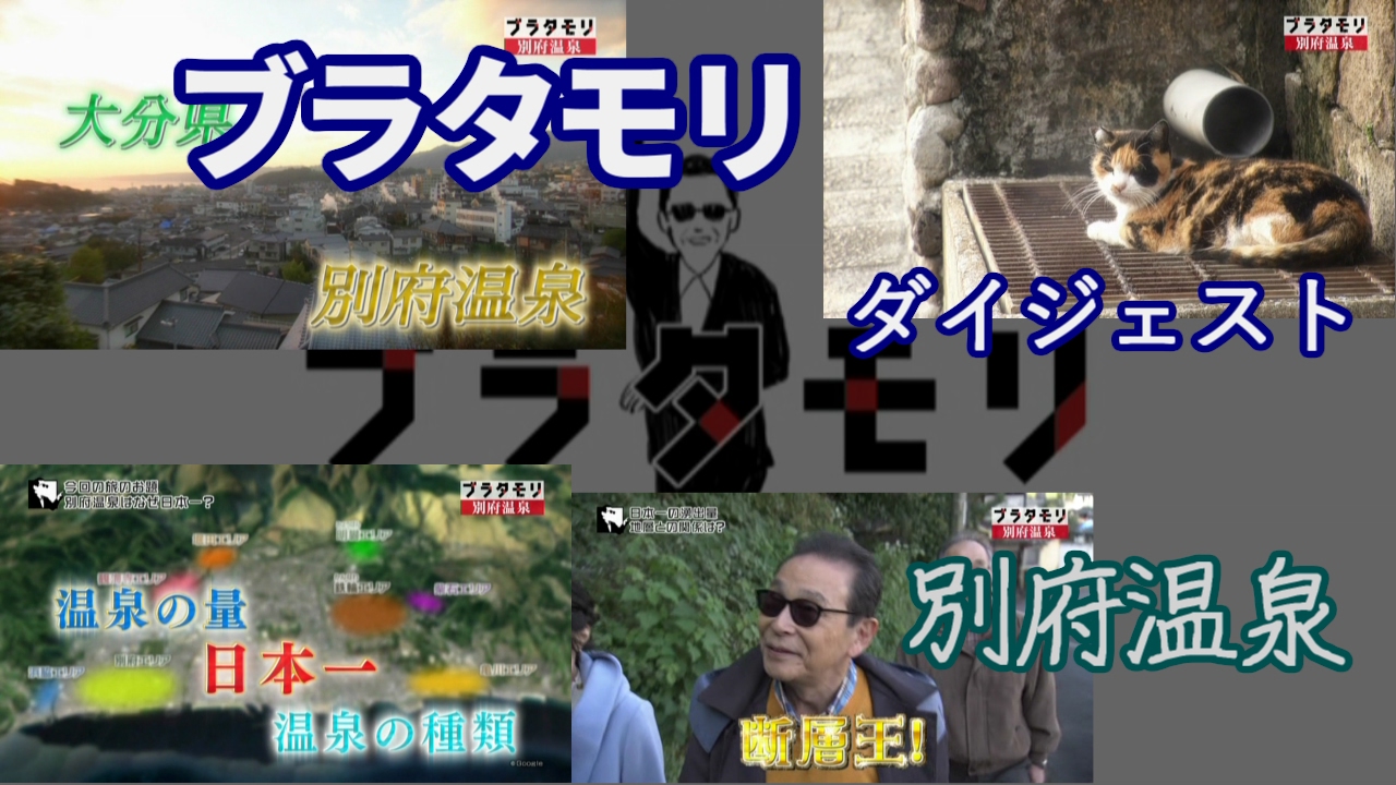ブラタモリの動画 画像 動画検索 マイルドサイト