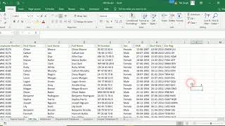 49. The Finishing Touch - How Many Records Did I Find | MS - Excel Tutorial