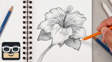 How to Draw a Realistic Hibiscus | Step by Step Art Lesson for Beginners
