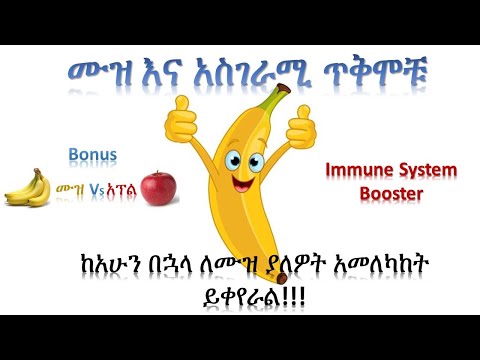 ቪዲዮ: ነጭ ሽንኩርት ዘይት እንዴት እንደሚሰራ: 8 ደረጃዎች (ከስዕሎች ጋር)