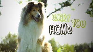 Carry You Home || Part 1 for @TCCEllieMae by Thunder Collie 316 views 10 months ago 23 seconds