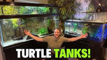 My Turtle Tank Setups! - Which One is Your Favorite?!