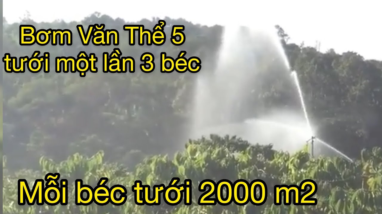 Bơm Văn Thể 5 (VT5) đẩy một lần 3 béc AX31 tưới cà phê... - youtube