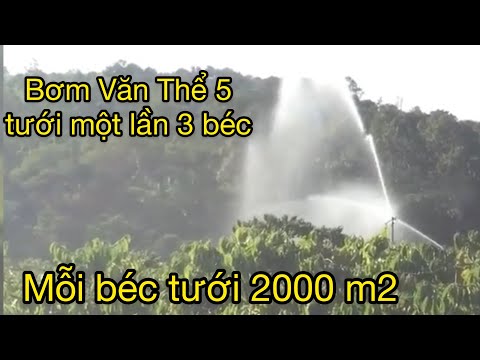 Video Bơm Văn Thể 5 (VT5) đẩy một lần 3 béc AX31 tưới cà phê... - youtube