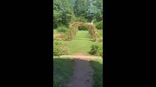 Summer Garden Tour With Miss Katherine