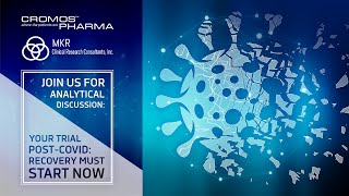 1. Пилот, разборы, ответы и лайвы