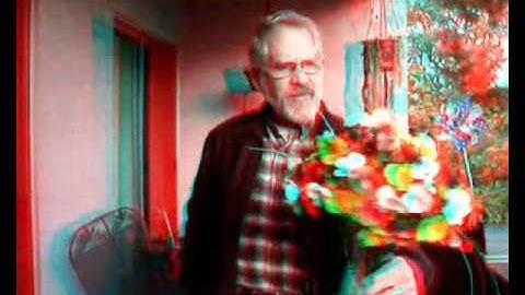 3D Anaglyph Video - StereoMovie Maker