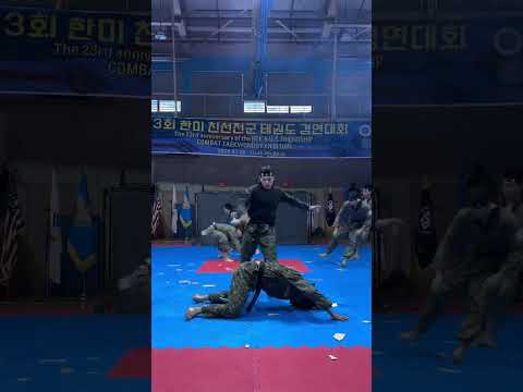 demo of taekwondo by ROK #military #army #korea #taekwondo #koreanmartialarts #specialforces #viral