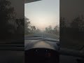 EARLY MORNING !!