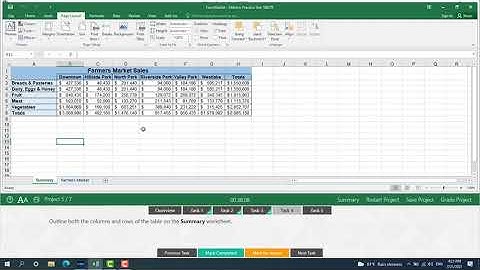 Exam 3 MS Excel 2016 Gmetrix