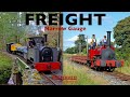 Preserved railway narrow gauge freight