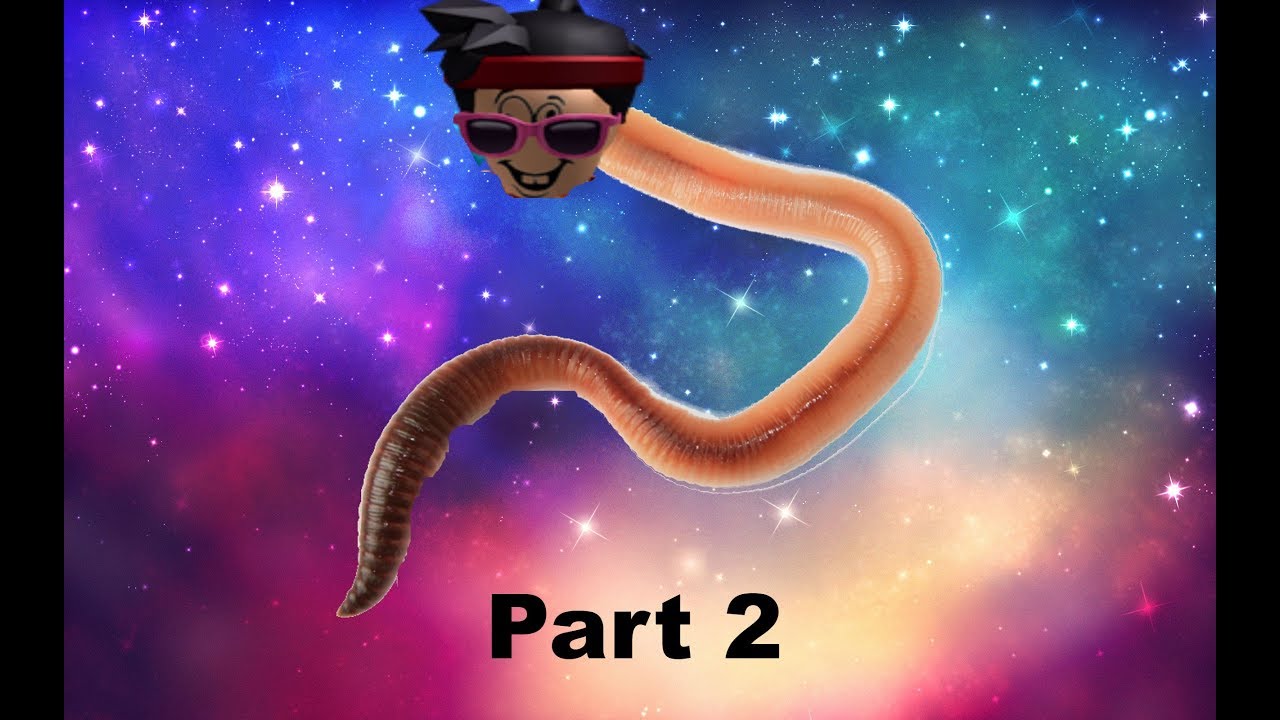 Earthworm Sally Carrying Diseases From Florida To Cali
