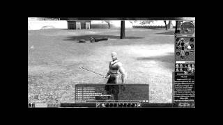 Metin2 Pserver Item Bonis Hack und DMG hack [Deutsch]