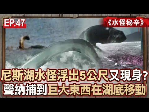 EP.47／尼斯湖水怪又現身！獵人拍到「巨獸浮出5公尺」目擊事件頻傳...聲納捕捉到「巨大東西在湖底移動」會是鐵證？《水怪秘辛》【57怪奇物語】@57StrangerThings