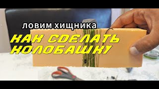 Ловим хищника на живца. Самая уловистая снасть на хищника. Как сделать колобашку дома?
