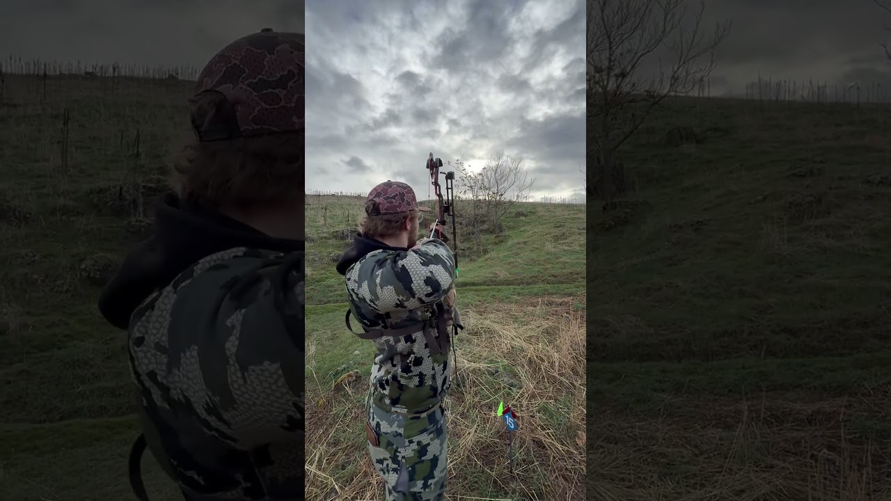 Threading the needle on a whitetail #shorts #3d #lewiston #idaho #contentcreator #subscribe #pnw